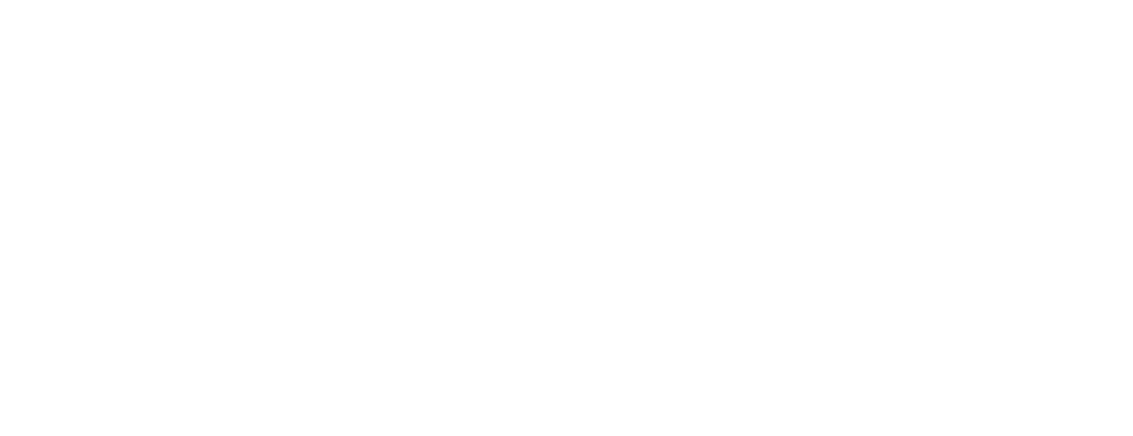 Holley Technology